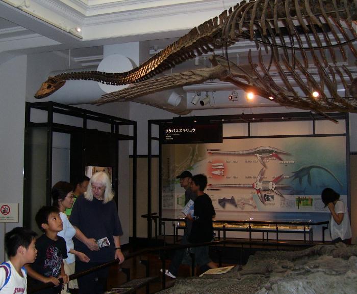 Plesiosaur Found